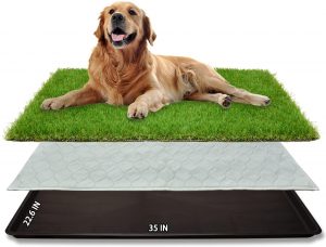 Best Artificial Grass for Dog Potty